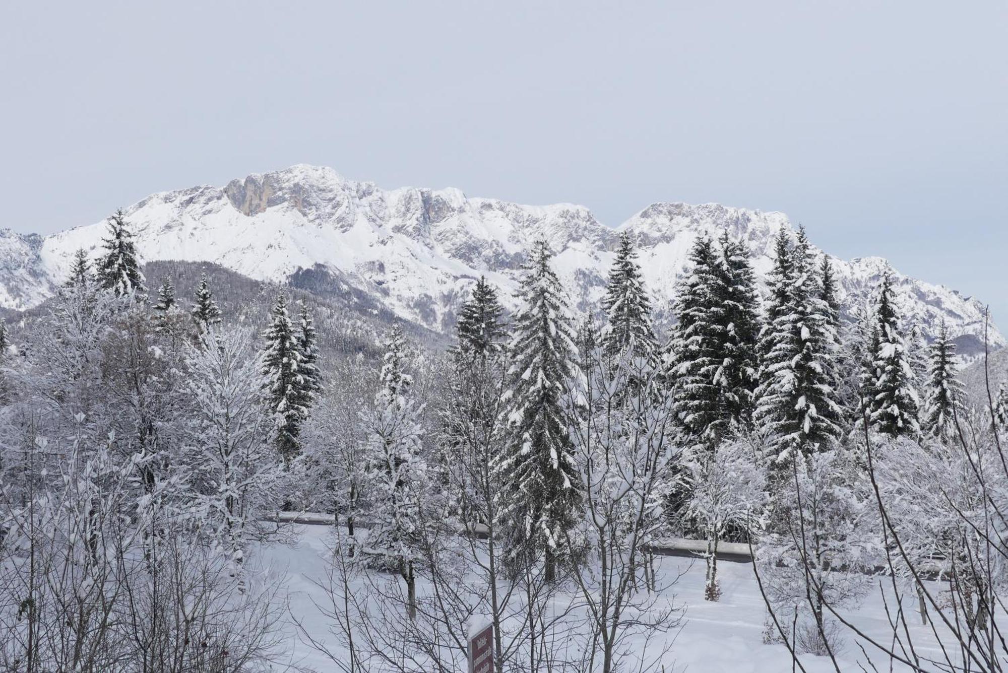 Ferienwohnungen Haus Kunterbunt เบิร์ชเทสกาเดน ภายนอก รูปภาพ